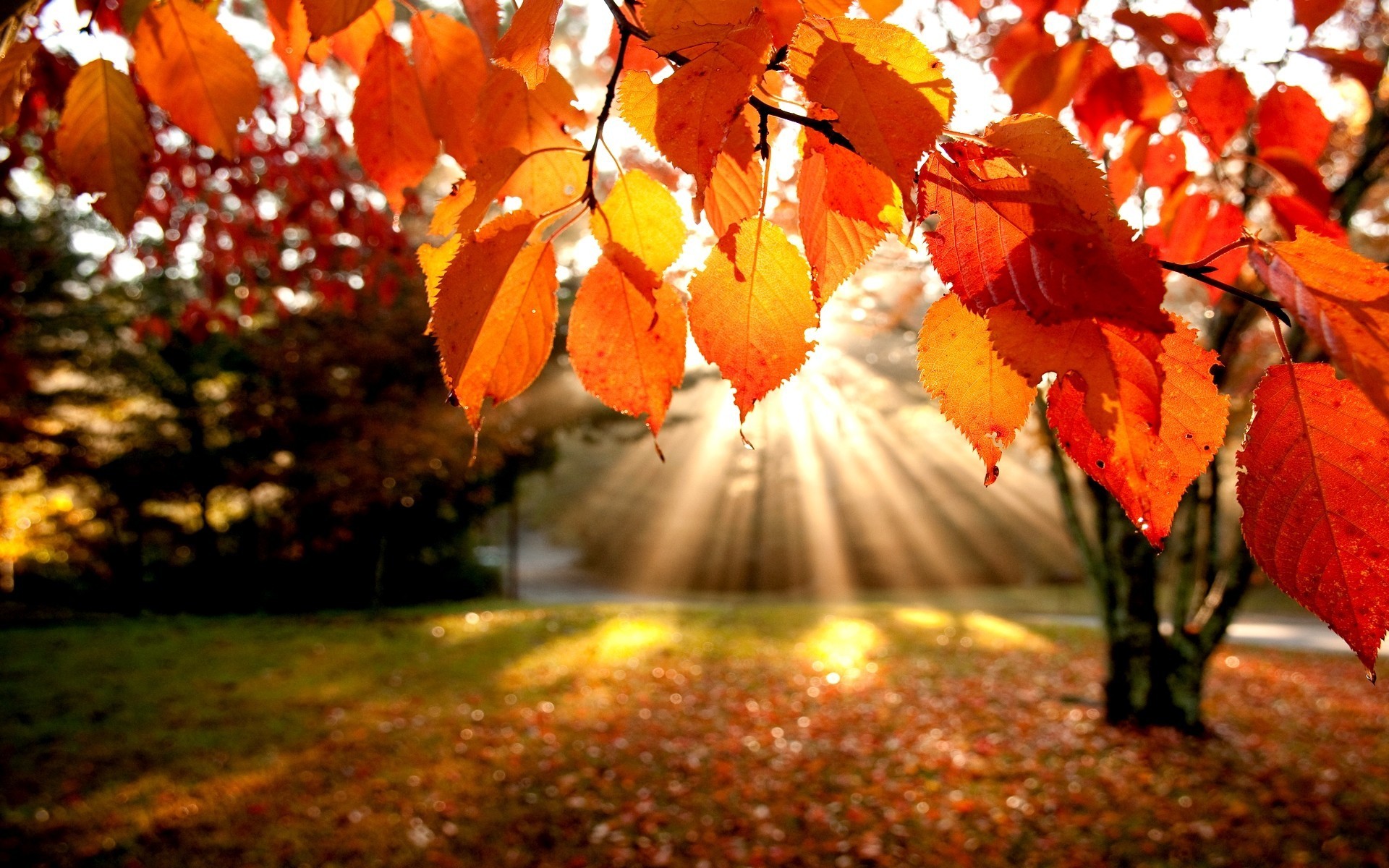 Post image for If You Love Autumn, You Are…