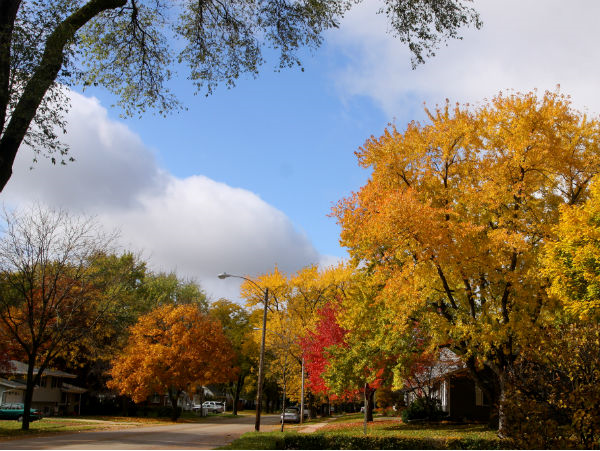 Post image for The Safest Towns in Illinois