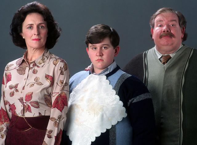 Post image for Have You Heard About the Dursleys?